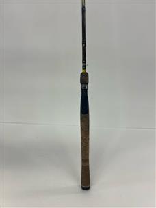 Fenwick Eagle GT Two-Piece Graphite Spinning Fishing Rod (6'6 - Brown L)